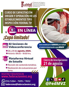 CARTEL CURSO TIF EN LÍNEA AGOSTO 2025.jpg