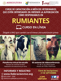 CURSO_RUMIANTES_EN_LÃNEA_OCTUBRE.png