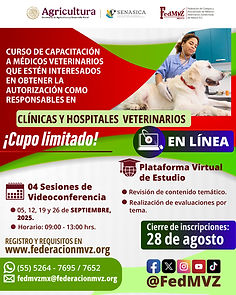 CARTEL CURSO CLÍNICAS EN LÍNEA SEPTIEMBRE 2025.jpg