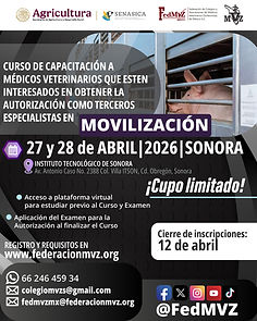 CARTEL CURSO MOVILIZACIÓN SONORA ABRIL 2026.jpg