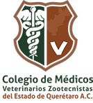 Logo Querétaro cuadrado.png