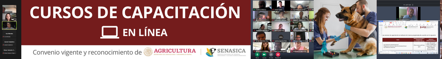 BANNER CURSOS DE CAPACITACIÓN EN LÍNEA (2).png