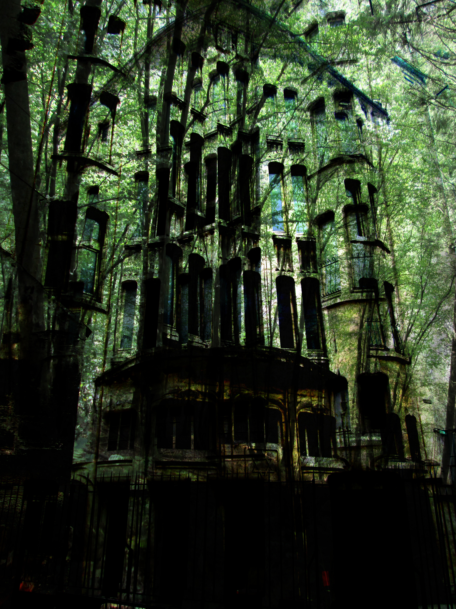 City meets nature