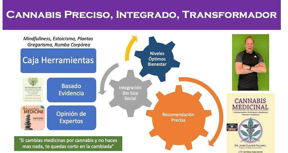 Cannabis PIT Caja Herramientas Visual.jpg