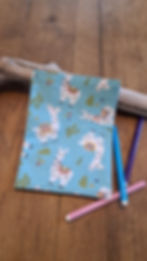 Miniature : Cahier de coloriage lavable