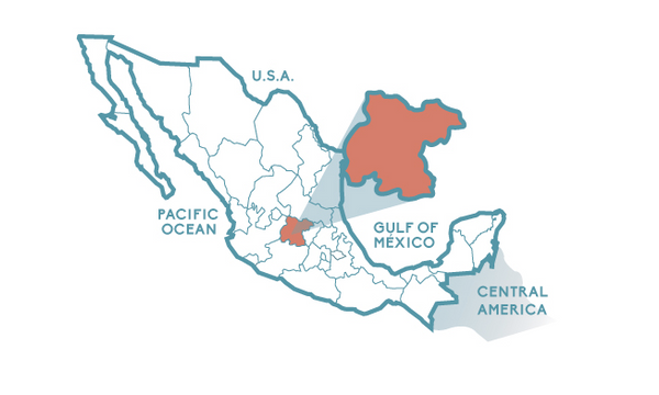 where is guanajuato