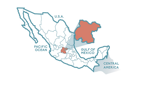 where is guanajuato