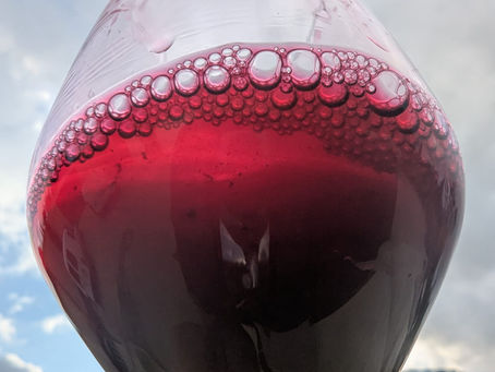 La Syrah : Guide Complet du Cépage Roi des Vins du Languedoc
