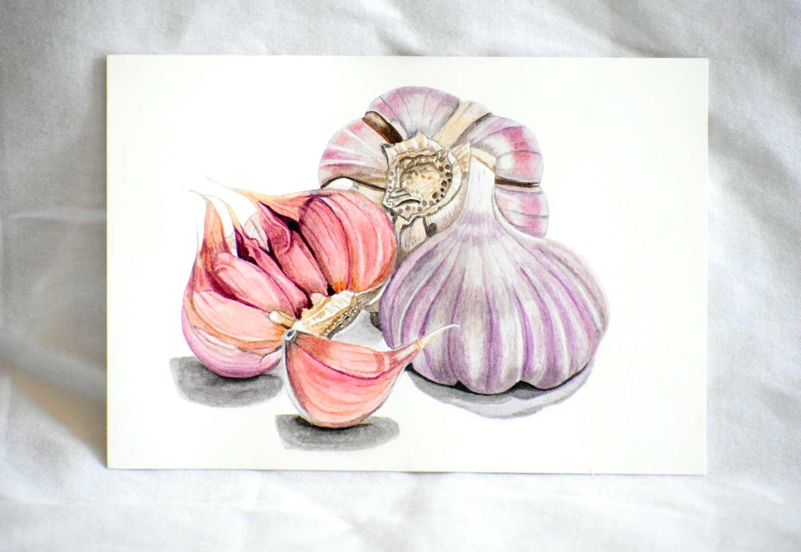 Hand-painted original watercolor artwork of garlic bulbs with subtle purple hues, detailed botanical painting.