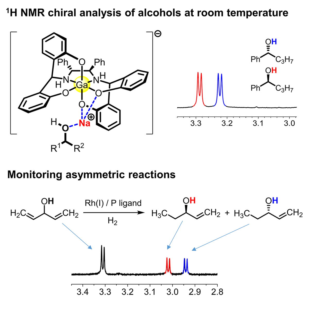 Graphical-abstract.gif