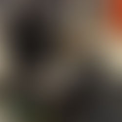 ✈️ Preparing to Travel on a Plane With Your Dog