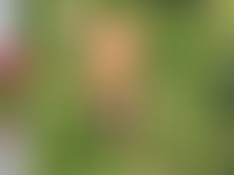 When a fellow business baddie asks for help, we show up. 💥🐾