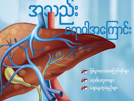 အသည်းရောဂါဖြစ်စေတဲ့ အဓိက အကြောင်းရင်းတွေက ဘာတွေလဲ။