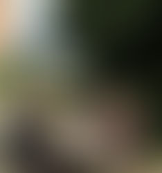 St. Thomas More School