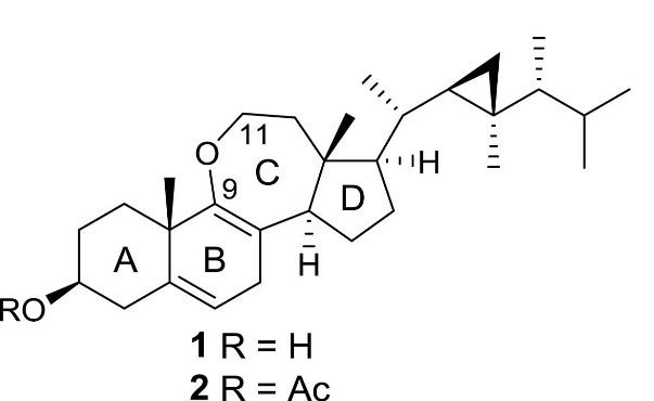 Cyclized 9,11-secosterol enol-ethers from Pseudopterogorgia americana