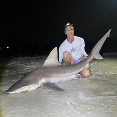 SHARK CAUGHT ON GUIDE 5