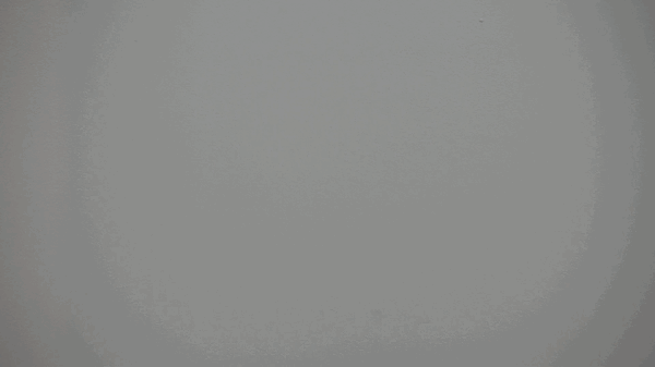 VideoToGif_GIF 2.GIF