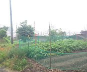 高山市神明町土地