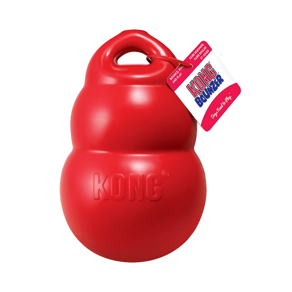 Miniaturbild: KONG - Bounzer
