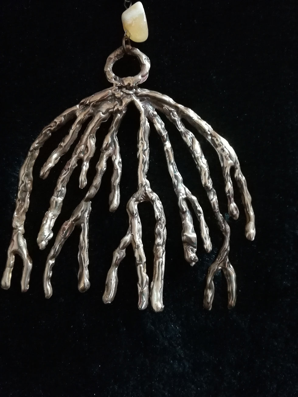 Miniatura: Gorgonia_2
