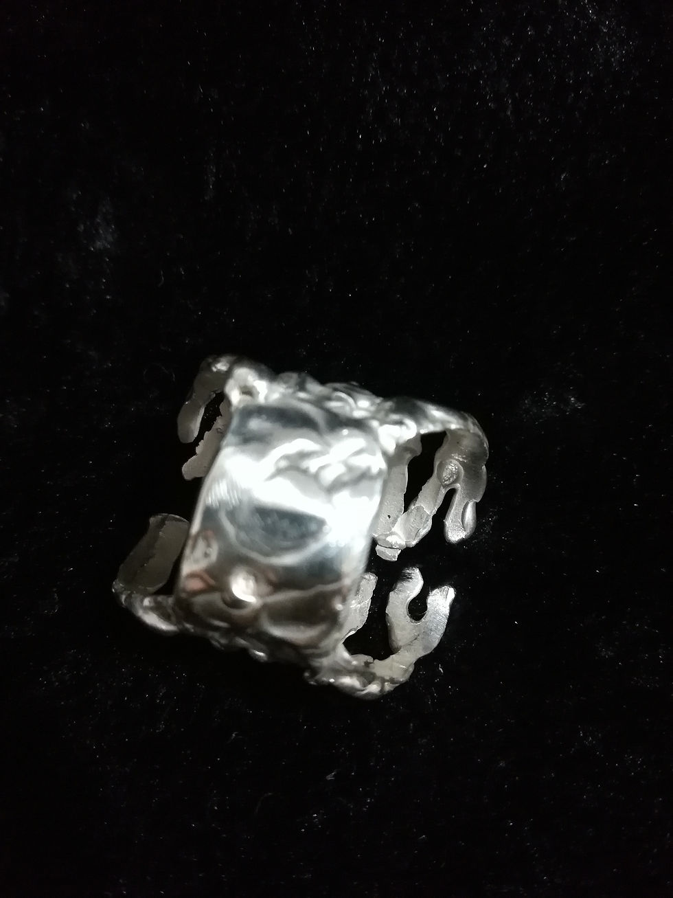 Miniatura: Gorgonia
