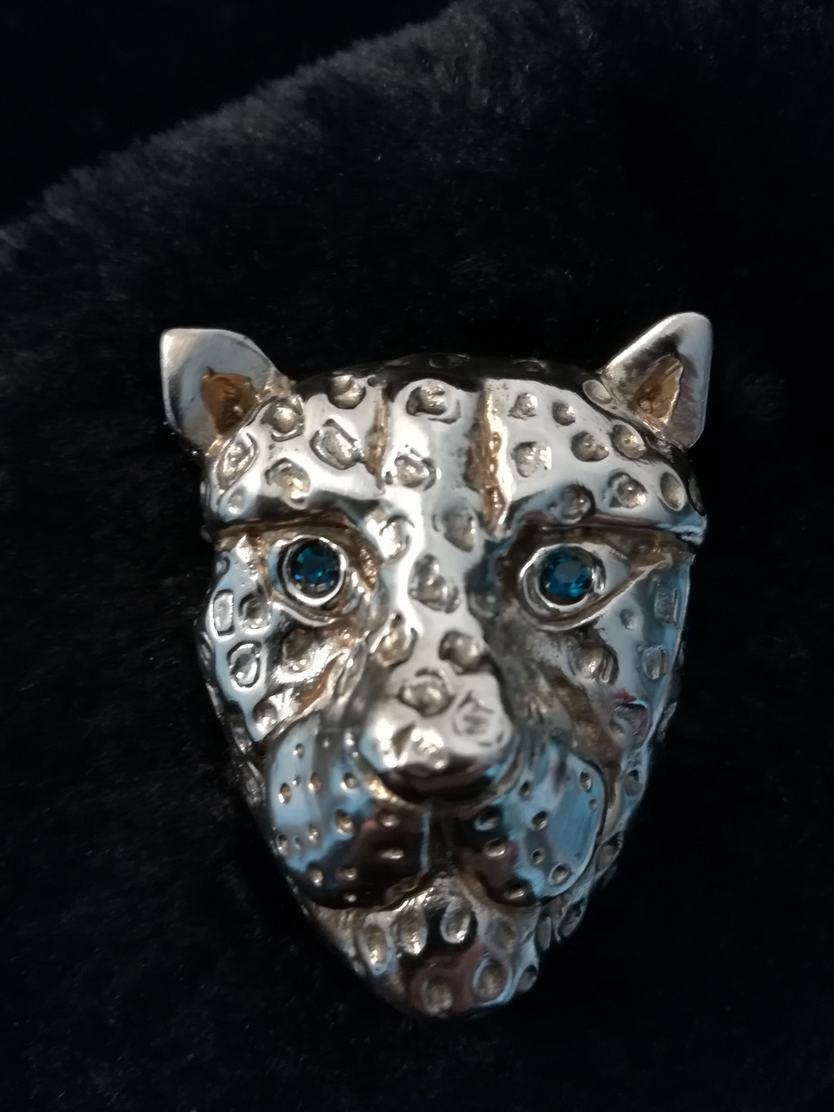 Jaguar