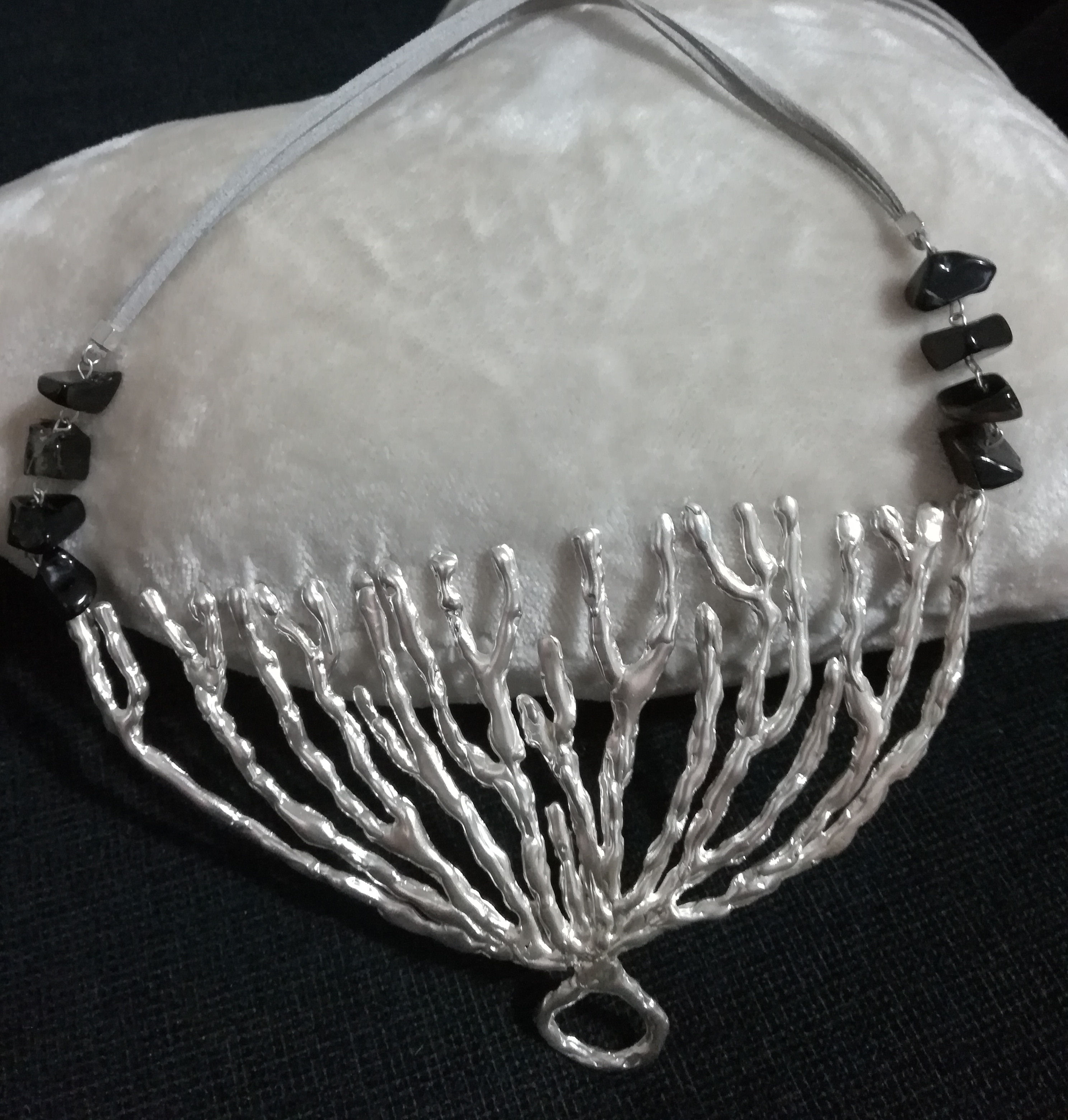 Gorgonia_Plata