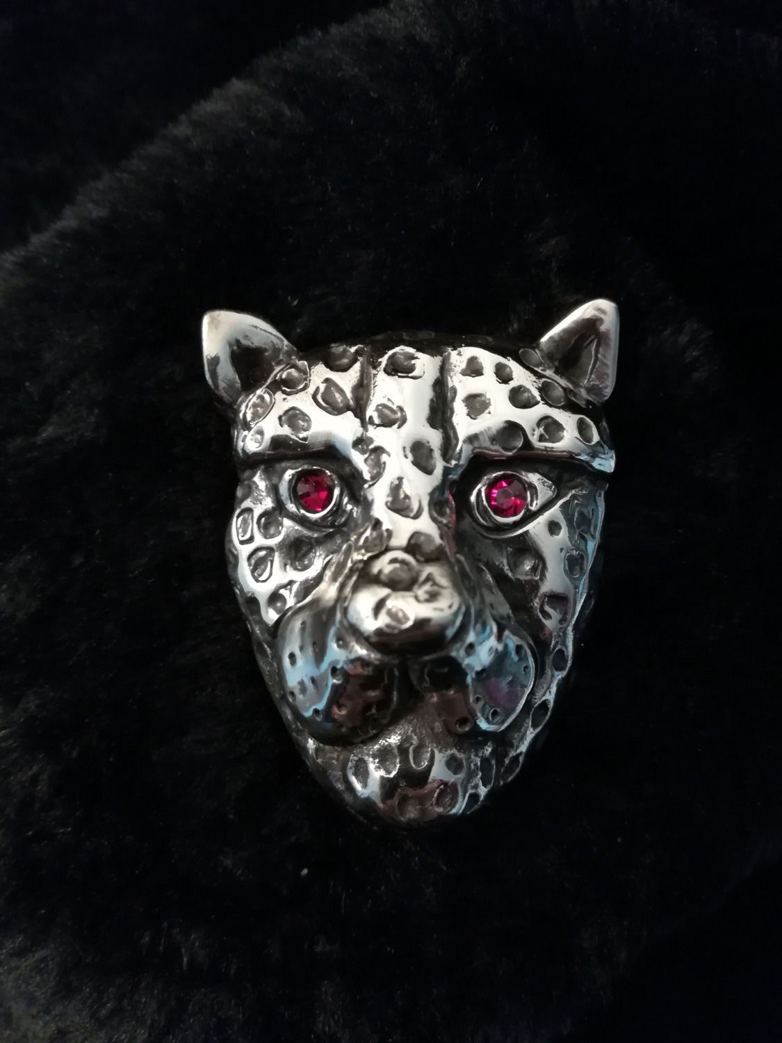 Jaguar_2