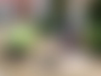 Exploring CCTV Sewer Inspection for Niagara’s Underground Systems