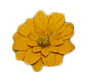 Flower 10.png