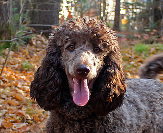 Mahdi -- November 2022 -4.jpg