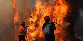 TONGASS NATIONAL FOREST OF U.S. CAUGHT BY FIRE