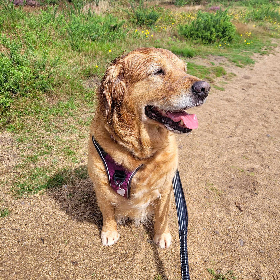 377116936_2197066823816660_979162098204492025_n