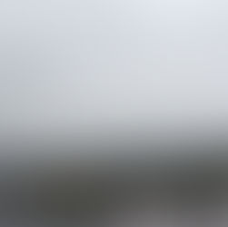 無事に徳島デモへ