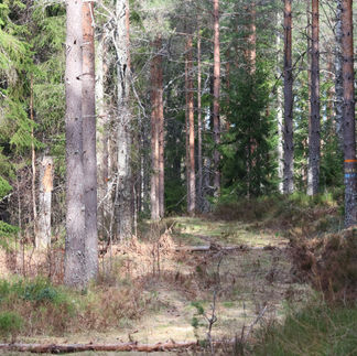 Malingsbo-Klotenleden