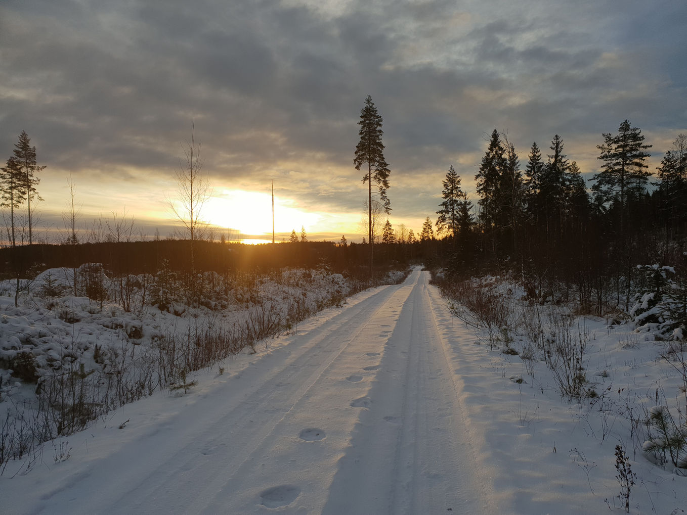 Snötäckt skogsväg i Fagersta längs Bruksleden.