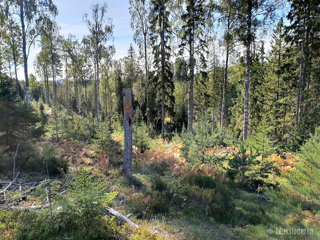 Så lätt att tappa bort markeringarna här.
