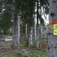 Bruksleden/Flobostigen fjärde advent 2025