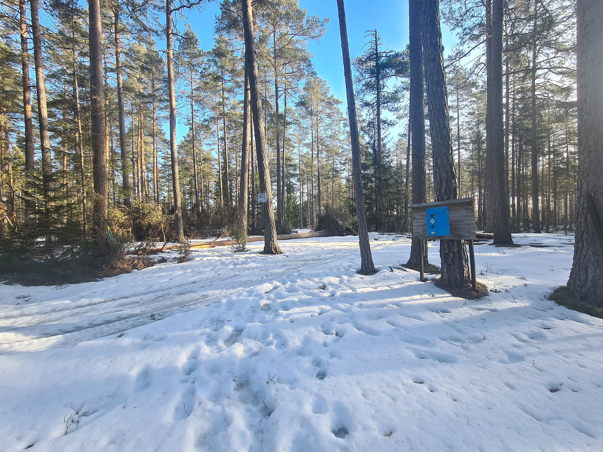 Rundslinga Ötjärn