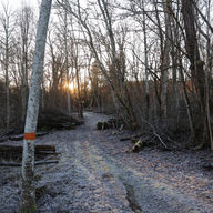 Bruksleden/Flobostigen fjärde advent 2025
