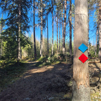 Kottmosseskogen - blåröd slinga