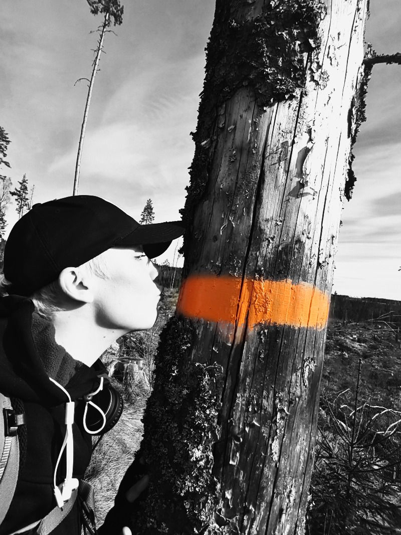 20170406_101819.jpg