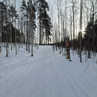 Flobostigen innan vindskyddet