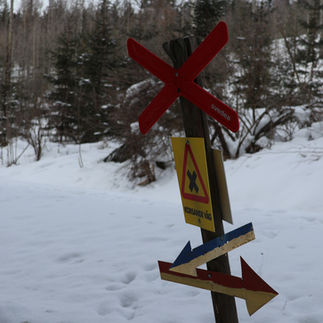 Skoterspår