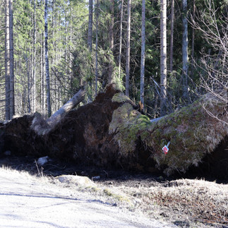 Rotvälta Bråforsvägen