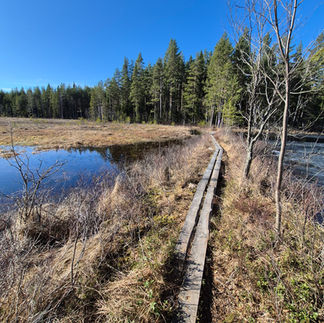 Spången över Ötjärn