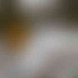 Varningsskylt - risk för nedfallande föremål