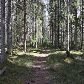 Äldre del av Bruksleden
