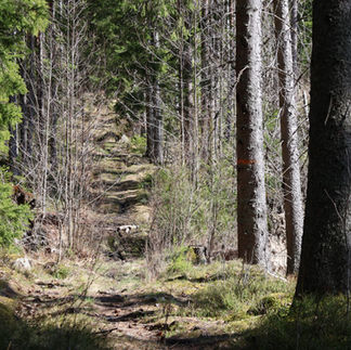 En äldre del av Bruksleden