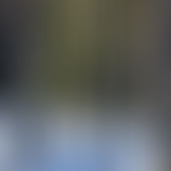 Rådjur mellan trädstammar längs grön slinga i Kottmosseskogen